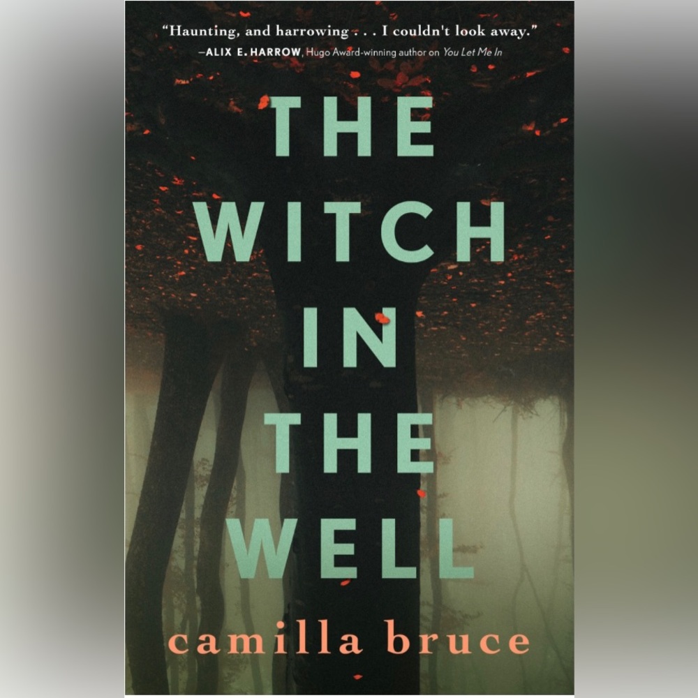 The Witch in the Well By: Camilla Bruce - Hardback